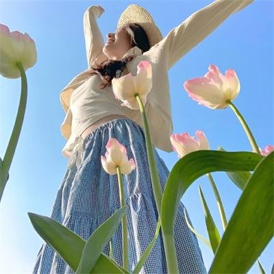 夏洛特的网2：韦伯历险记