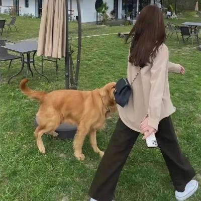 吾家才女初长成